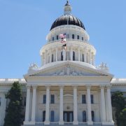 pexels-steve-8347375 (2)